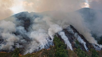 Los incendios de Ourense, León y Zamora provocan las mayores emisiones de carbono en España desde al menos 2003