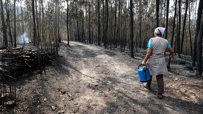 Incendios, huracanes y el "impacto psicológico" de superar la barrera de 1,5 grados: 2024, el año más cálido