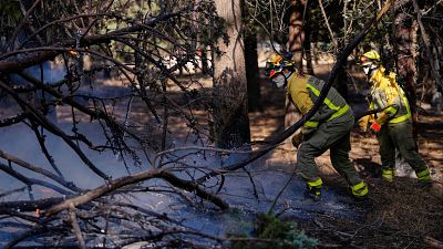 Resumen del estado de los incendios en España el 28 de julio.