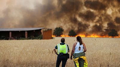 El incendio más grande en dos décadas y casi 200.000 hectáreas quemadas: 2022 ya es el peor año del siglo