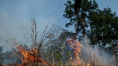 Los expertos piden precaución a los vecinos que luchan contra el fuego: "Podemos hacer más perjuicio que beneficio"