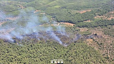 Zona afectada per l'incendi forestal a Masllorenç Zona afectada per l'incendi forestal a Masllorenç