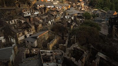 Afectados por los incendios: cómo reclamar y qué cubre el seguro Afectados por los incendios: cómo reclamar y qué cubre el seguro