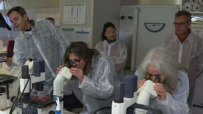 Investigación en España: clave para tratar enfermedades raras
