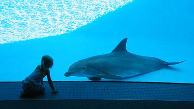 Investigadores españoles hallan un patrón universal que explica la longevidad de las especies