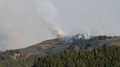 El incendio de Gran Canaria está estabilizado al 95% mientras se investiga a un hombre de 29 años como presunto autor