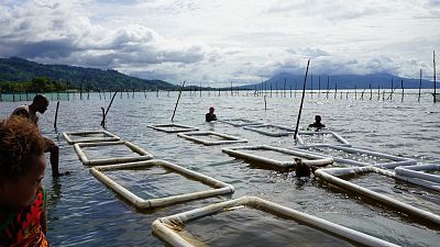 Los habitantes de las islas del Pacífico, en primera línea frente al cambio climático: "Nuestras islas se hunden"