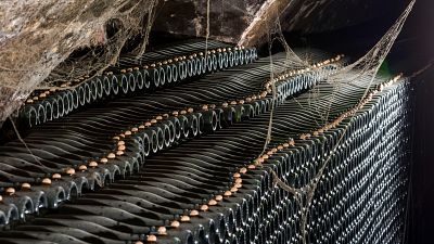 Celler de cava de llarga criança a Sant Sadurní d'Anoia