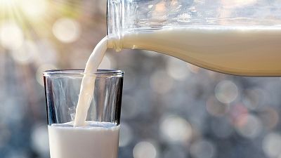 Día Mundial de la leche: lo que quizá no sabias de esta bebida