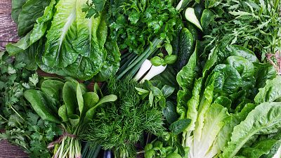 Escarola, iceberg, romana... Estos son los tipos de lechuga y lo que debes saber sobre ellos