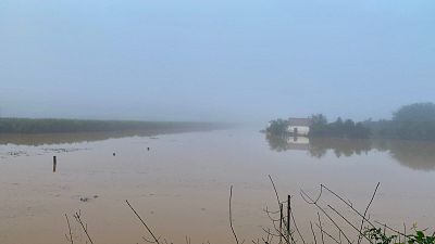 Camp inundat a Roquetes (Baix Ebre)