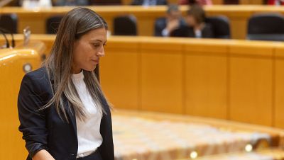 ERC y Junts proponen en sus enmiendas a la ley de amnistía que se incluyan las causas por terrorismo durante el 'procés'