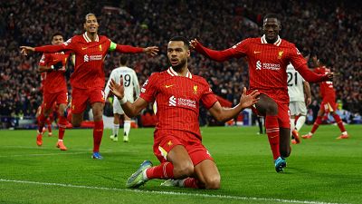 Celebración de jugadores del Liverpool tras un gol en partido contra el Real Madrid. Un jugador arrodillado, otros corriendo, dorsal 9 visible.