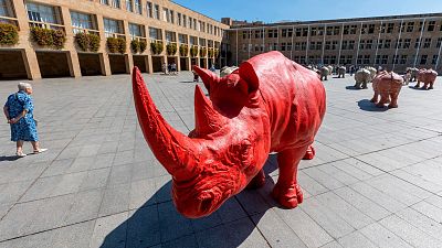 Una manada de rinocerontes invade la plaza del Ayuntamiento de Logroño Una manada de rinocerontes invade la plaza del Ayuntamiento de Logroño