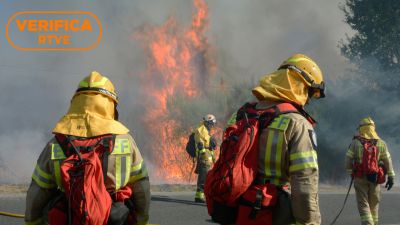 Mapas, cuentas verificadas y otras herramientas para seguir incendios forestales