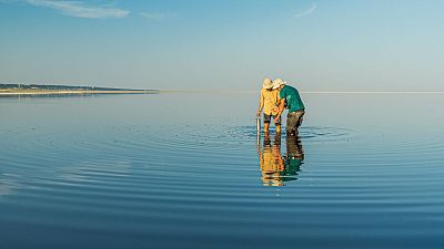 'Memorias de un mar': ciencia y arte en el mayor laboratorio vivo del cambio climático