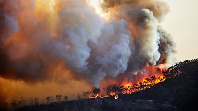 Más de un millón de personas mueren cada año por los picos de contaminación por partículas finas