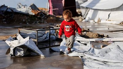 La masacre en Gaza en 2025: un año que comenzó con esperanza pero acaba sin ninguna perspectiva de futuro