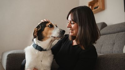 Las mascotas superan a los niños, el gran cambio en los hogares españoles: "La tendencia se va a consolidar"