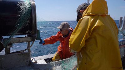 Restaurar la naturaleza es posible: dos historias de éxito en lagunas y fondos marinos en España