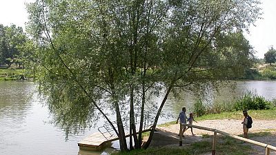 Paisaje natural con un gran árbol frondoso sobre un cuerpo de agua, un muelle de madera y un camino. Cuatro personas disfrutan del entorno soleado. Paisaje natural con un gran árbol frondoso sobre un cuerpo de agua, un muelle de madera y un camino. Cuatro personas disfrutan del entorno soleado.