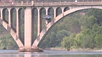 Plaga de mosca negra a l'Ebre - L'Altaveu - L'altaveu | Veure