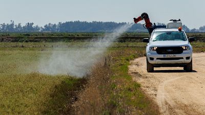 Autoridades y expertos en guardia para controlar la expansión de los mosquitos