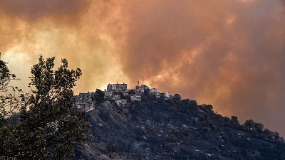 Mueren 25 militares argelinos mientras intentaban extinguir los incendios al norte del país