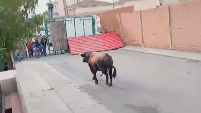 Un muerto y tres heridos, entre ellos una niña, al escaparse un toro de un encierro en Pantoja, en Toledo