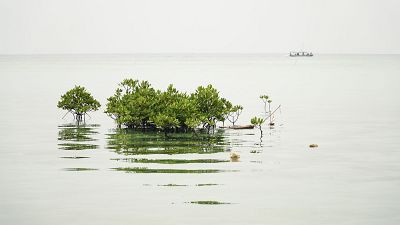 El nivel del mar subió más de lo previsto en 2024