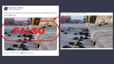 No son pájaros muertos por la mascletá de Madrid, es México en 2022