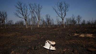 "Nos sentimos abandonados", el clamor de un pueblo zamorano que apagó sus fiestas cercado por las llamas