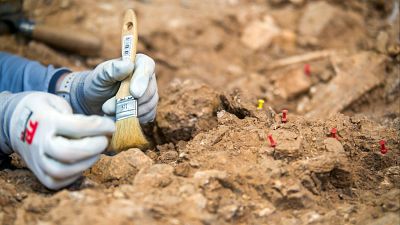 Nuevos hallazgos sobre el 'Homo Antecessor' en Atapuerca: el diente de una mujer y huesos de animales