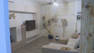 Consecuencias de la okupación en Zaragoza