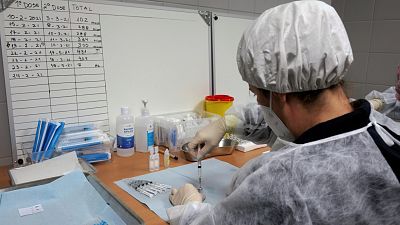 La OMS apoya la propuesta de suspender las patentes de las vacunas contra el coronavirus: "Es ahora o nunca"