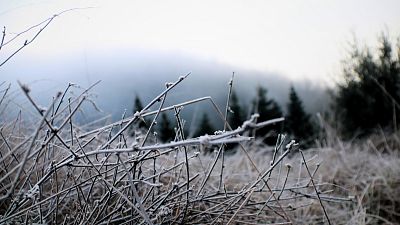 L'Observatori Fabra de Barcelona registra una temperatura mínima de rècord amb -1,8 °C