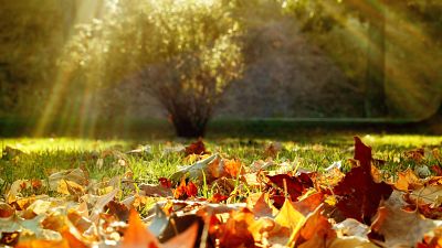 El otoño será más cálido de lo habitual en toda España tras un verano marcado por las olas de calor