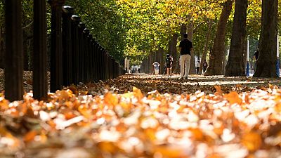 ¿Cómo va a ser el otoño en España? Lo más probable es que resulte cálido y seco