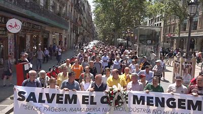 La pagesia alça la veu en una marxa des de Ponent a Barcelona