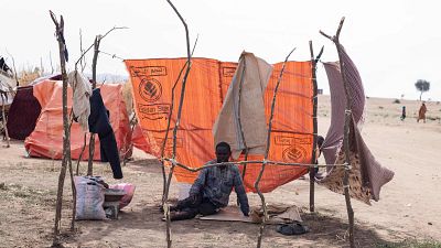 Los paramilitares aceptan el alto el fuego humanitario en Sudán propuesto por EE.UU y potencias árabes