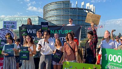 El Parlamento Europeo aprueba la Ley de Restauración de la Naturaleza a 100 días de las elecciones europeas