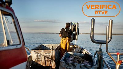 ¿Qué capturas de pesca recreativa obligará a registrar la UE en 2026?