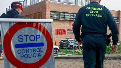 El comité científico descarta el laboratorio como origen del brote de peste porcina africana en Collserola (Barcelona)