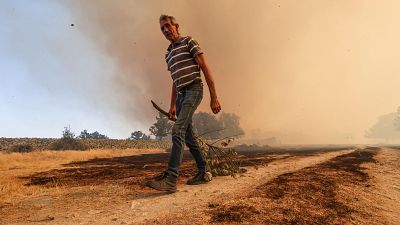 El Gobierno pagará antes del fin de año entre 1.500 y 16.000 euros a agricultores y ganaderos con daños por los incendios