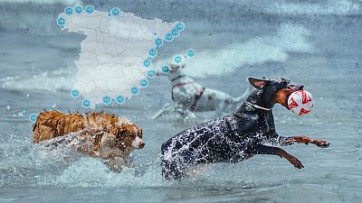 Mapa de todas las playas para perros de España: consejos para disfrutar con tu mascota este verano