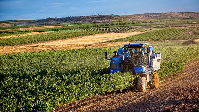 El PNV retira su iniciativa sobre las denominaciones de origen del vino y pone fin a la polémica con La Rioja