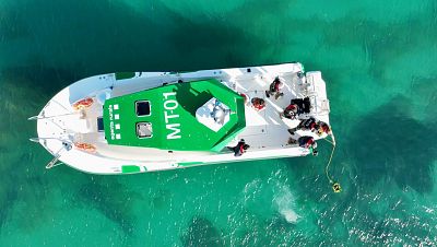 El escarabajo verde - Proteger la tierra - ver ahora