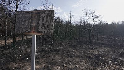 'En Portada' analiza qué hay 'Detrás del fuego' en España