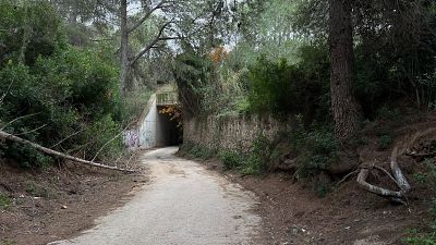 Imatge del barranc del Gendre de Riudecanyes on va ser trobada la dona morta | ACN Imatge del barranc del Gendre de Riudecanyes on va ser trobada la dona morta | ACN