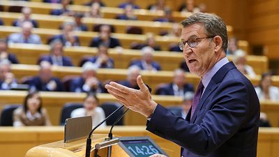 El PSOE registra una petición en el Senado para que Feijóo declare cuál es el "sobresueldo" que cobra del PP